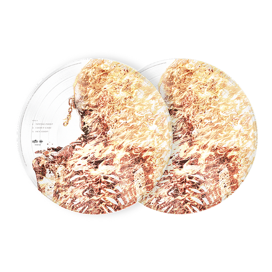 Megadeth Picture Disc